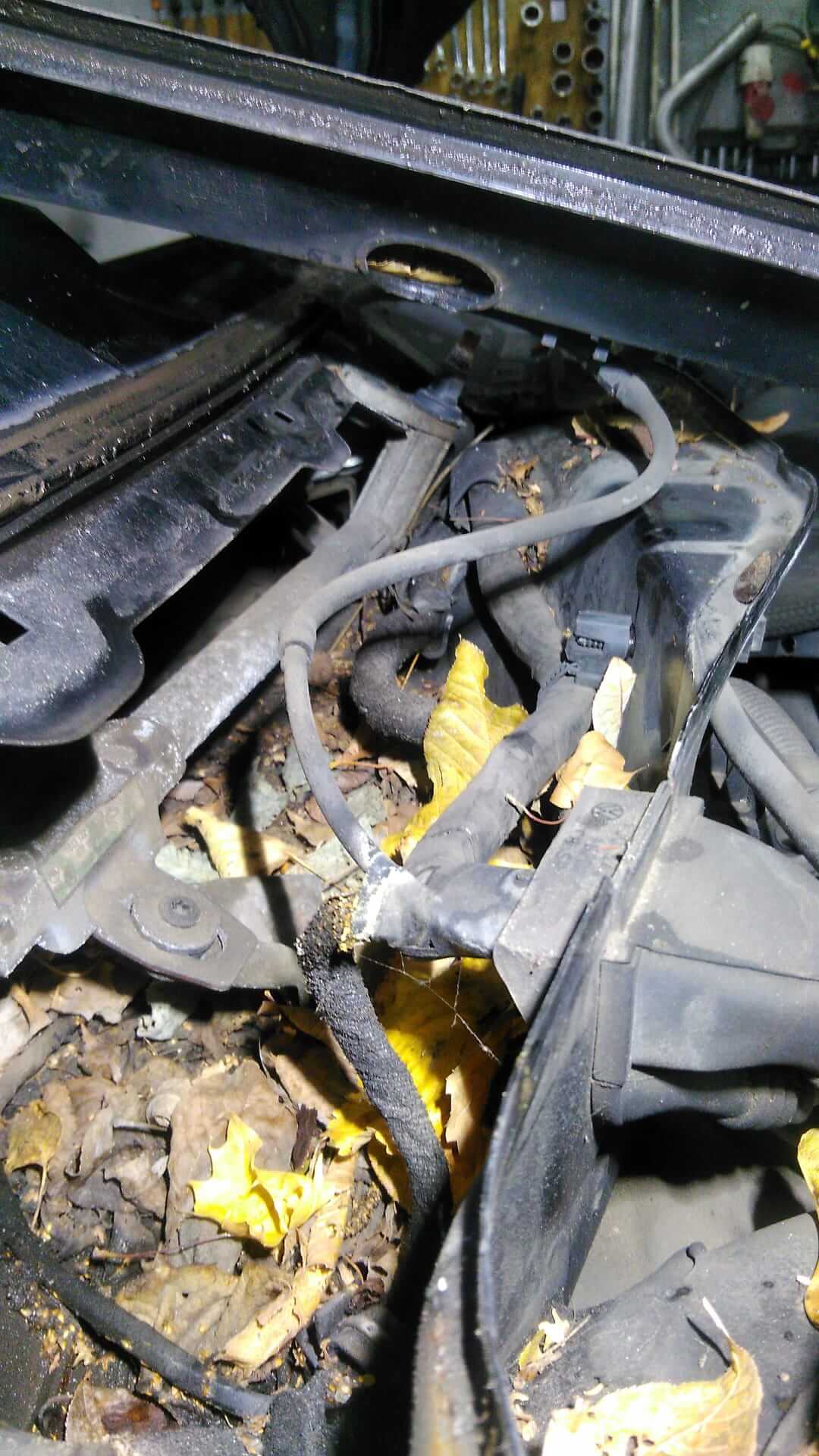 Zatkane odpływy w samochodzie - Tarnowskie Góry