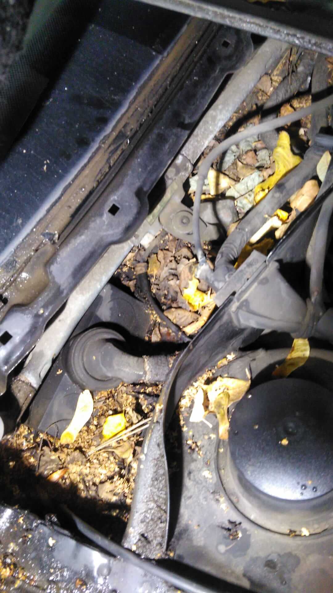 Zatkane odpływy w samochodzie - Tarnowskie Góry